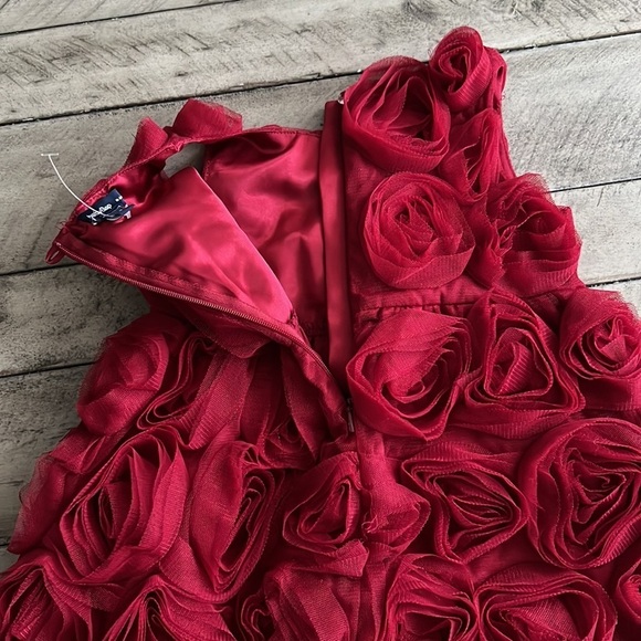 Gap Dark Red Holiday Dress Floral Tulle Roses Size 4 - Picture 5 of 7